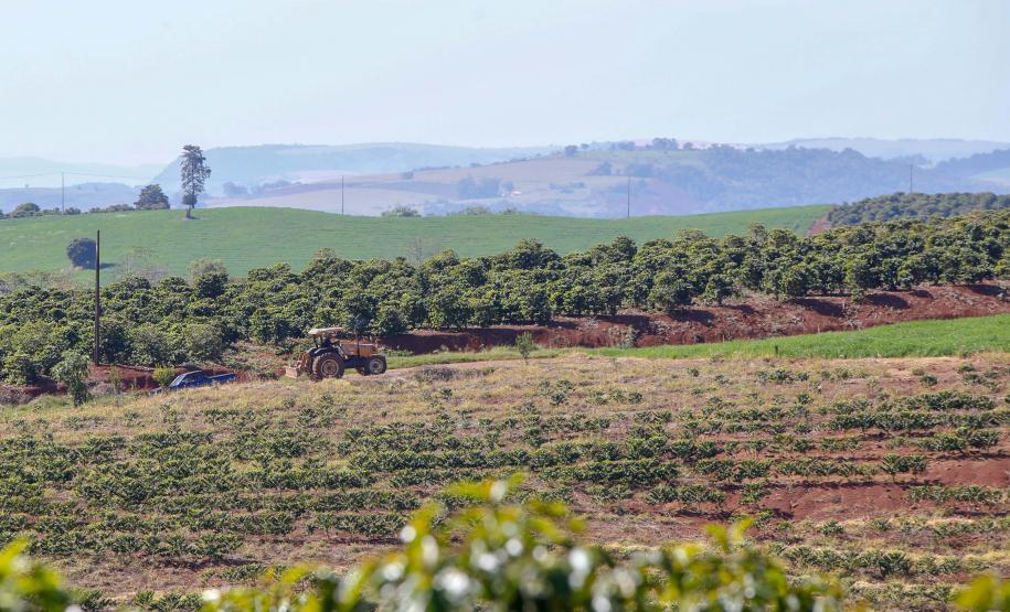 Governo renova artérias de escoamento da safra em Ivaiporã