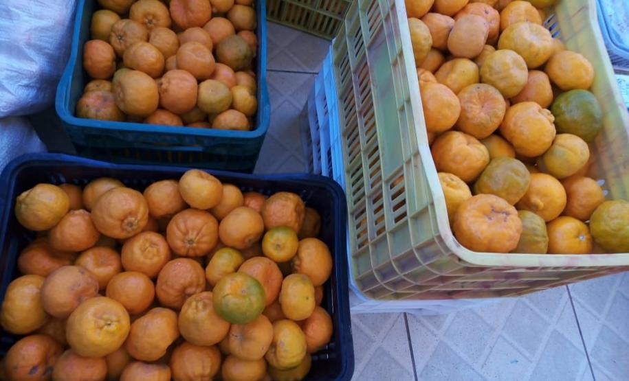 Pinhão - Associação São Francisco de Assis - Cooperativa da Agricultura Familiar de Pinhão