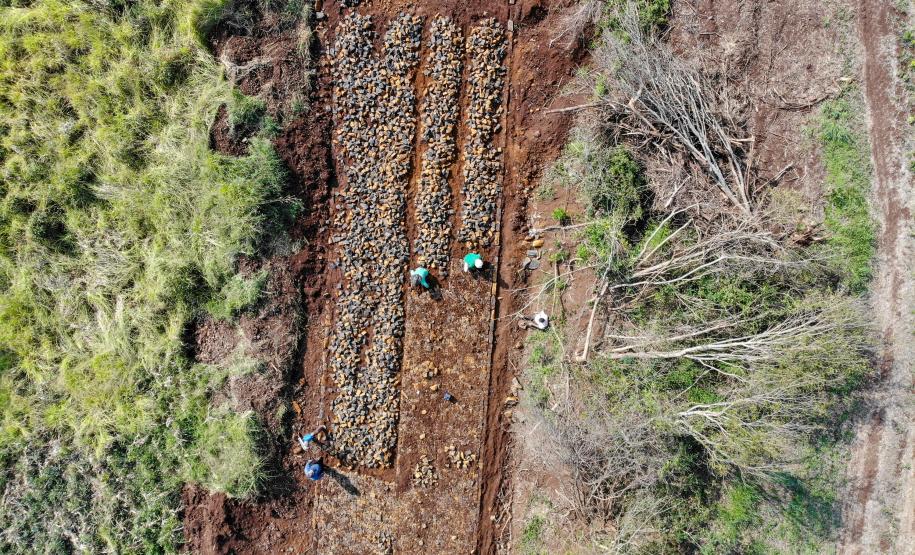 Pavimentação em estradas rurais facilitam a vida da população de Goioxim, no Oeste