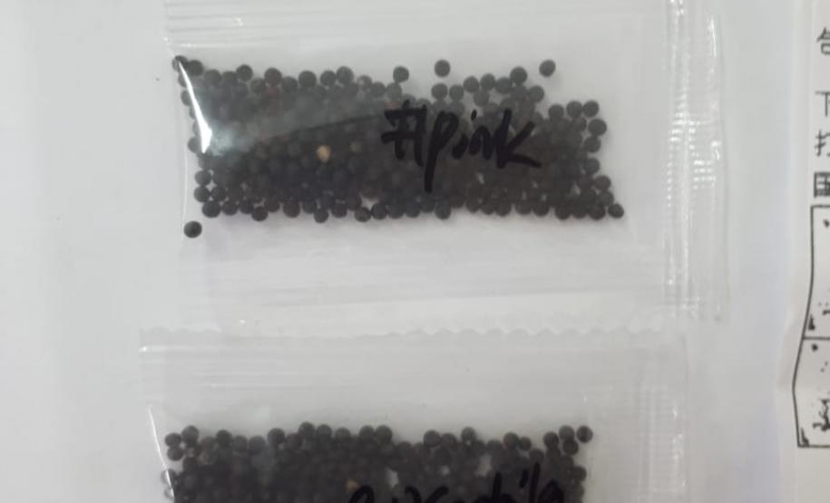 Adapar alerta sobre recebimento de sementes não encomendadas