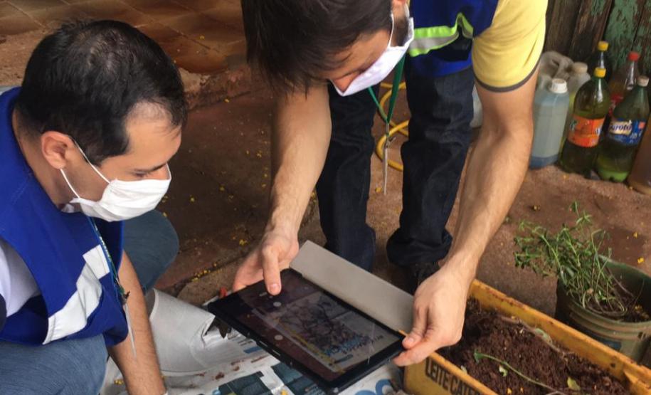 Adapar monitora casos das sementes importadas