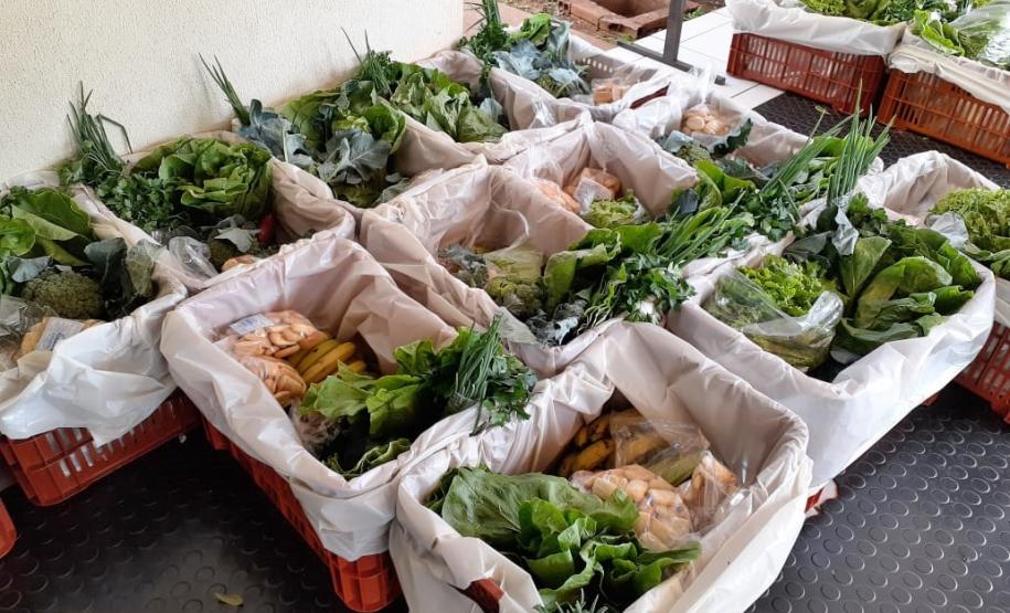 Pesquisa mostra alta aprovação do Programa Compra Direta Paraná