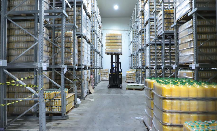 Noroeste lidera produção de laranja e do suco da fruta no Estado