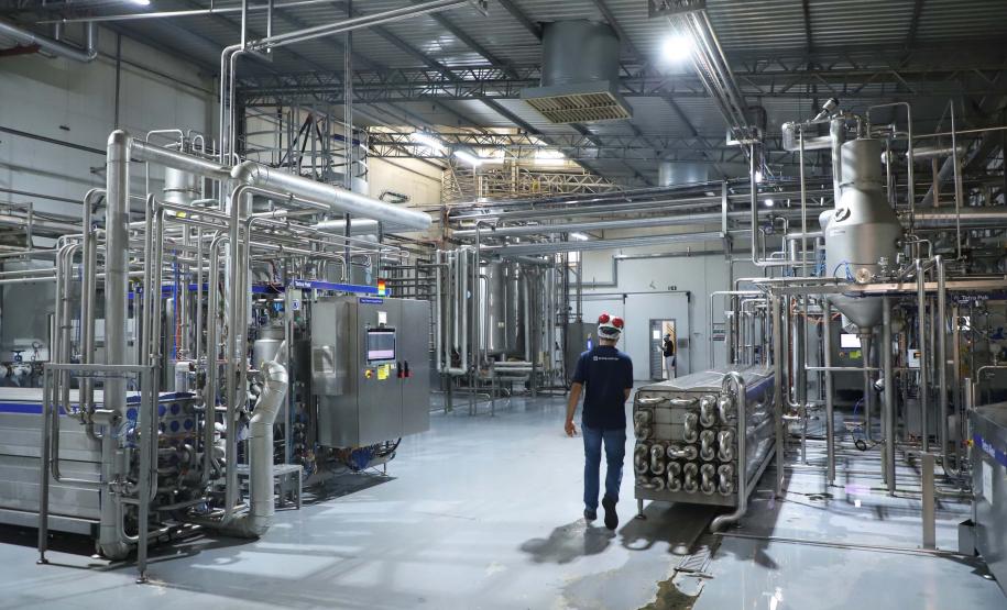 Noroeste lidera produção de laranja e do suco da fruta no Estado