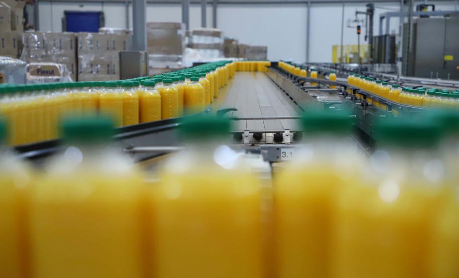 Noroeste lidera produção de laranja e do suco da fruta no Estado