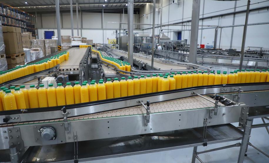 Noroeste lidera produção de laranja e do suco da fruta no Estado