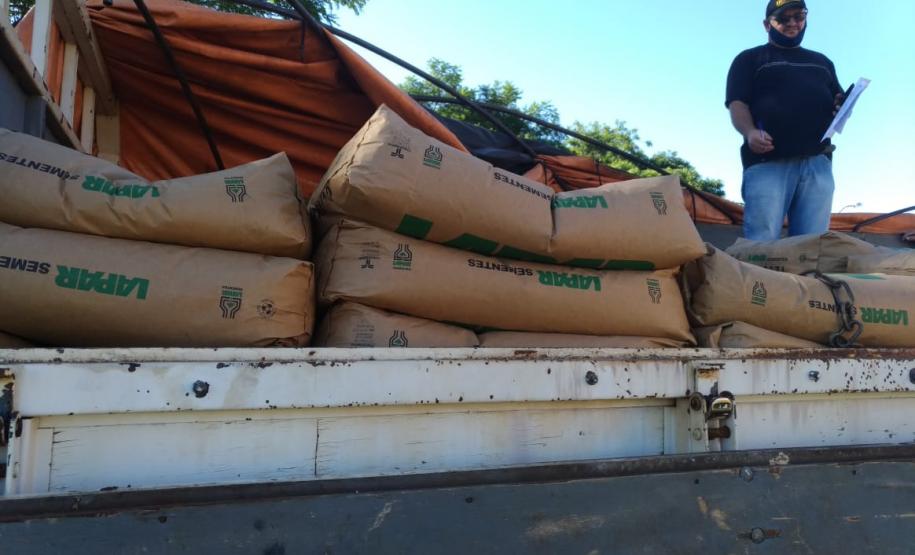 Governo do Estado entrega sementes a produtores atingidos por tempestade