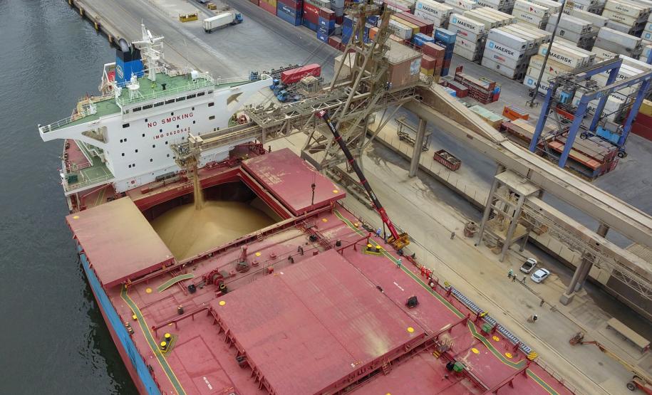 Exportações do agro paranaense somaram US$ 13,29 bi em 2020