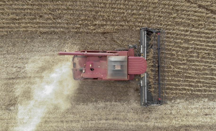 Soja ocupa um quarto do território estadual e é exportada para mais de 20 países