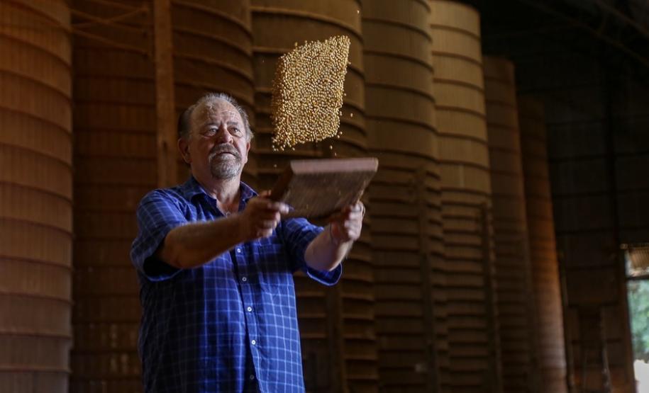 Soja ocupa um quarto do território estadual e é exportada para mais de 20 países