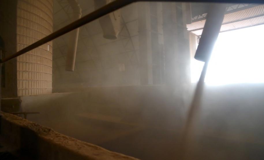 Soja ocupa um quarto do território estadual e é exportada para mais de 20 países