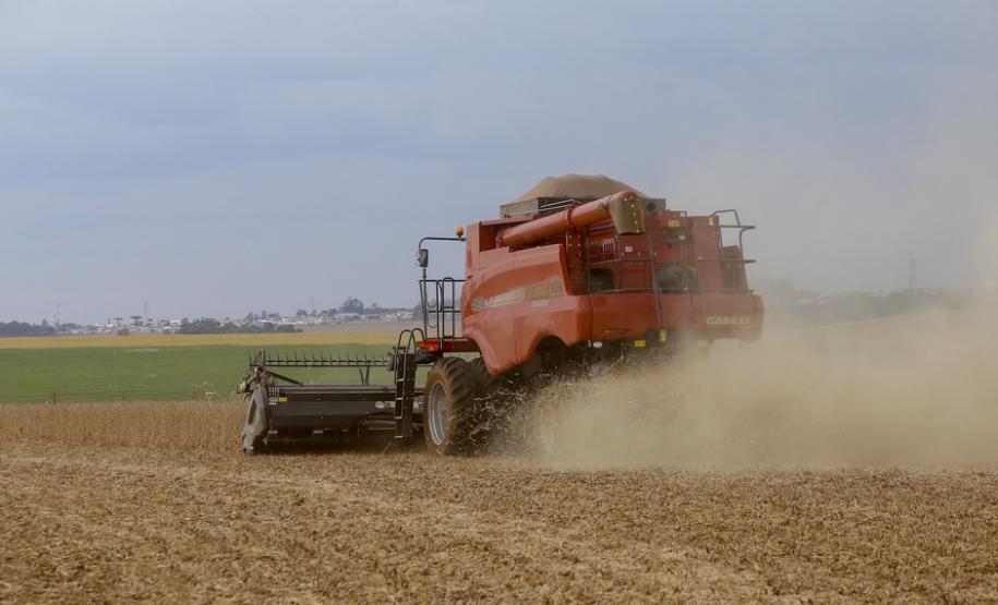 Soja ocupa um quarto do território estadual e é exportada para mais de 20 países