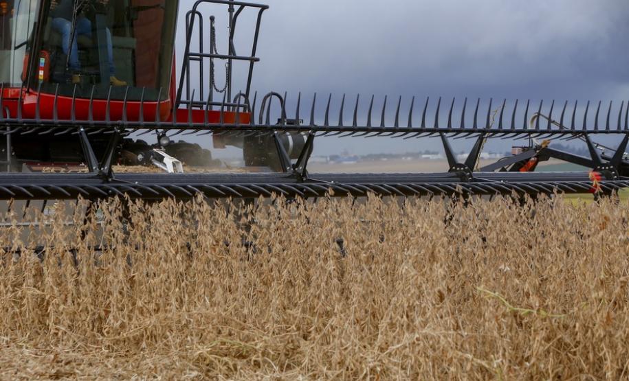 Soja ocupa um quarto do território estadual e é exportada para mais de 20 países