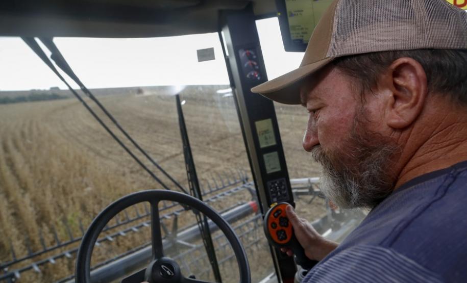 Soja ocupa um quarto do território estadual e é exportada para mais de 20 países