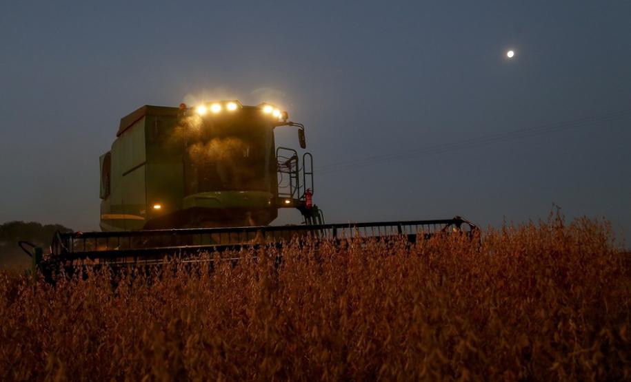 Soja ocupa um quarto do território estadual e é exportada para mais de 20 países