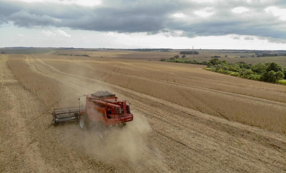 Soja ocupa um quarto do território estadual e é exportada para mais de 20 países