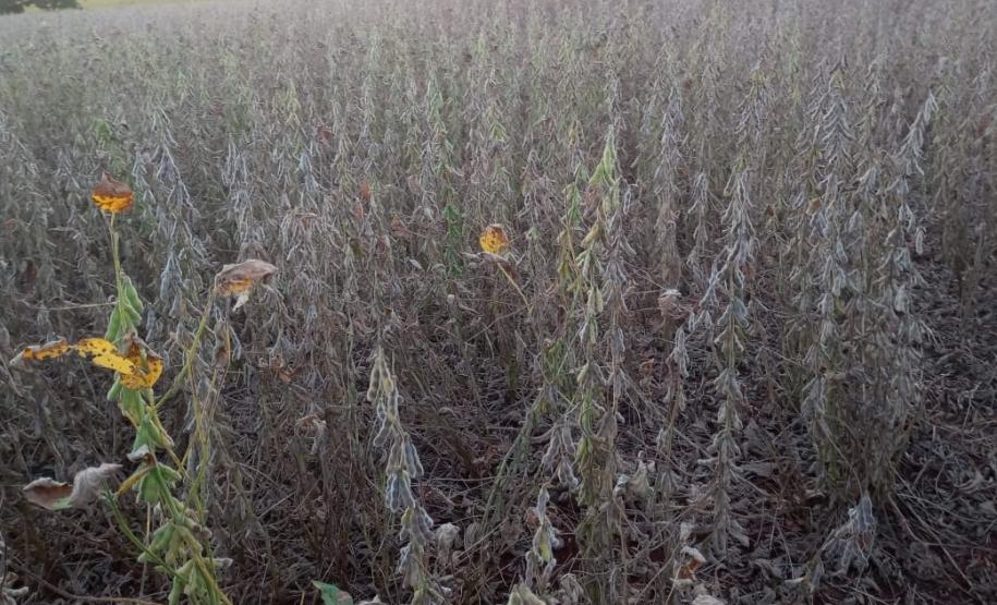 Programa Trator Solidário fortalece agricultura familiar na região Oeste