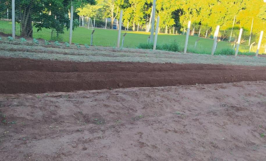 Moradores de Araruna ganham primeira Horta Comunitária