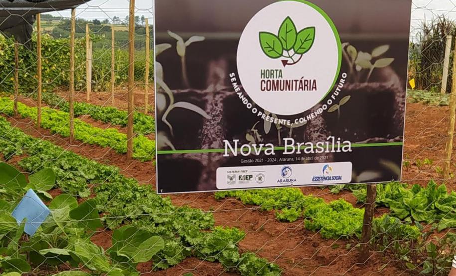 Moradores de Araruna ganham primeira Horta Comunitária
