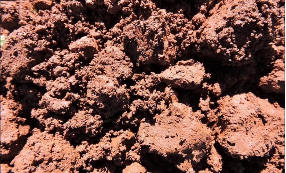 Estrutura compactada de horizonte A de Latossolo Vermelho sob lavoura.