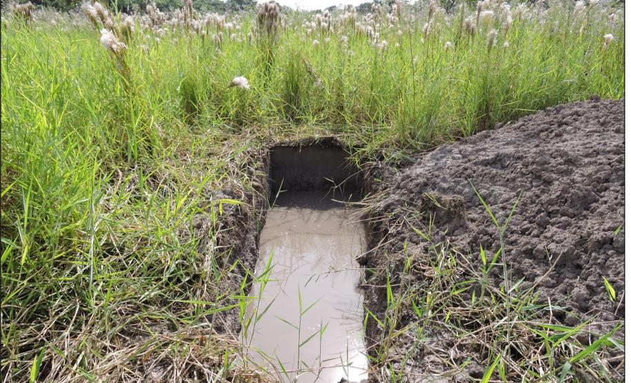 Lençol próximo da superfície