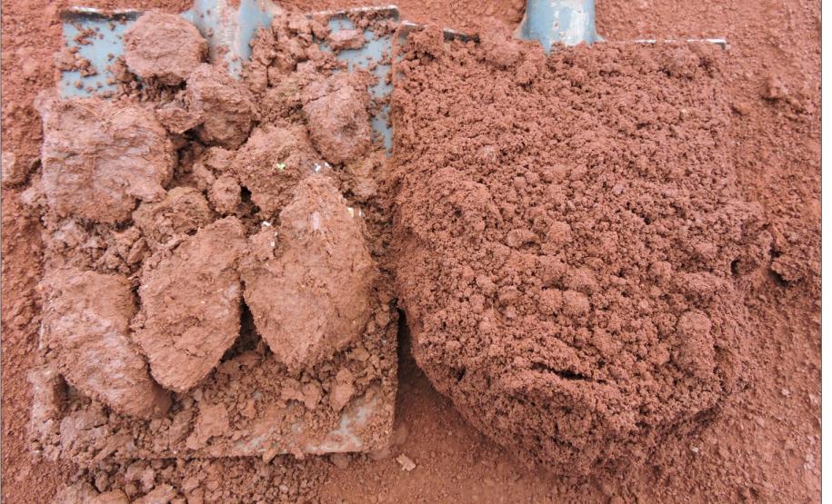 Estrutura de horizonte BA compactada (esquerda) e granular de horizonte Bw2 (direita).