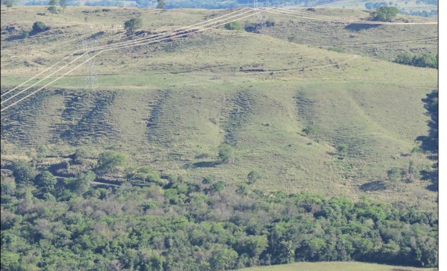 Forte processo erosivo em Neossolo Regolítico devido ao uso conflitivo.