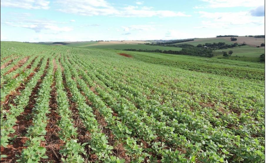 Fisiografia típica da Província Convexada.