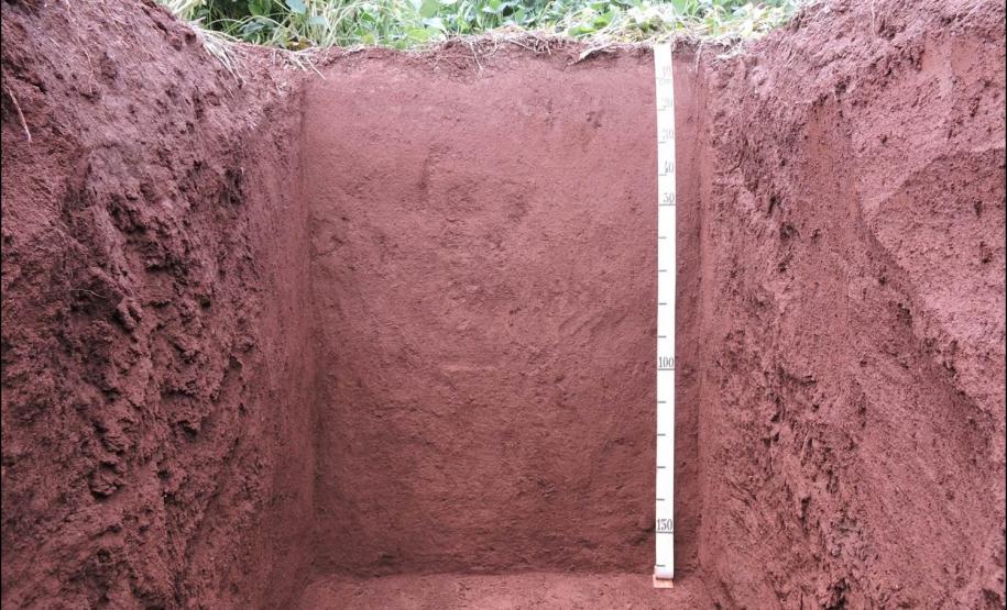 Latossolo Vermelho 530m.