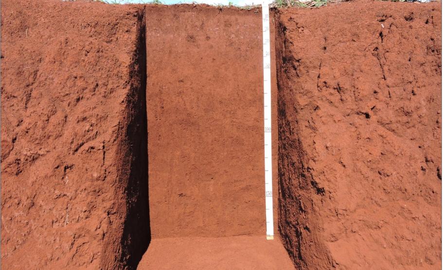 Latossolo Vermelho Eutroférrico típico.