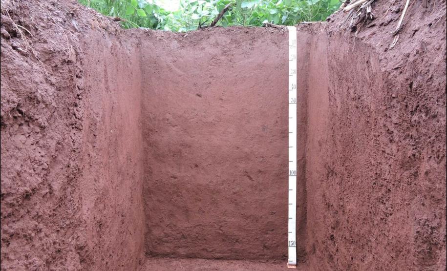 Latossolo Vermelho 620m.