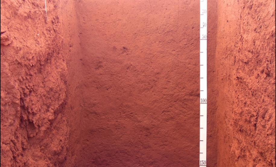 LATOSSOLO VERMELHO Distrófico típico.