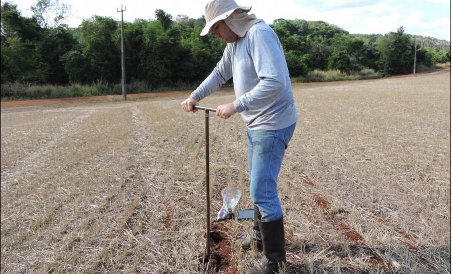 Amostragem de solos em lavoura com resteva da cultura de trigo.
