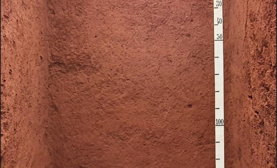 Perfil de LATOSSOLO VERMELHO Eutroférrico típico