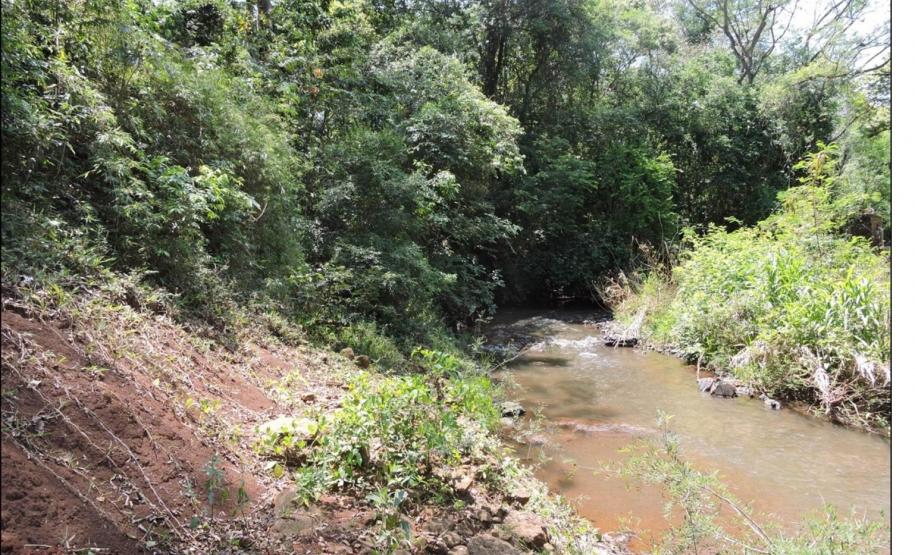 Margem alçada de rio constituída por Cambissolo Flúvico.