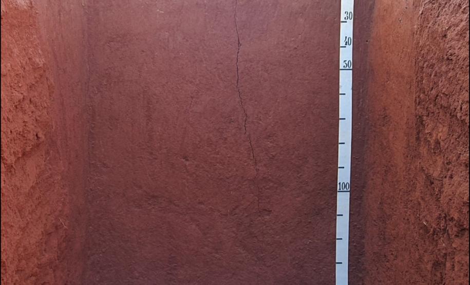 ARGISSOLO VERMELHO Distrófico típico.