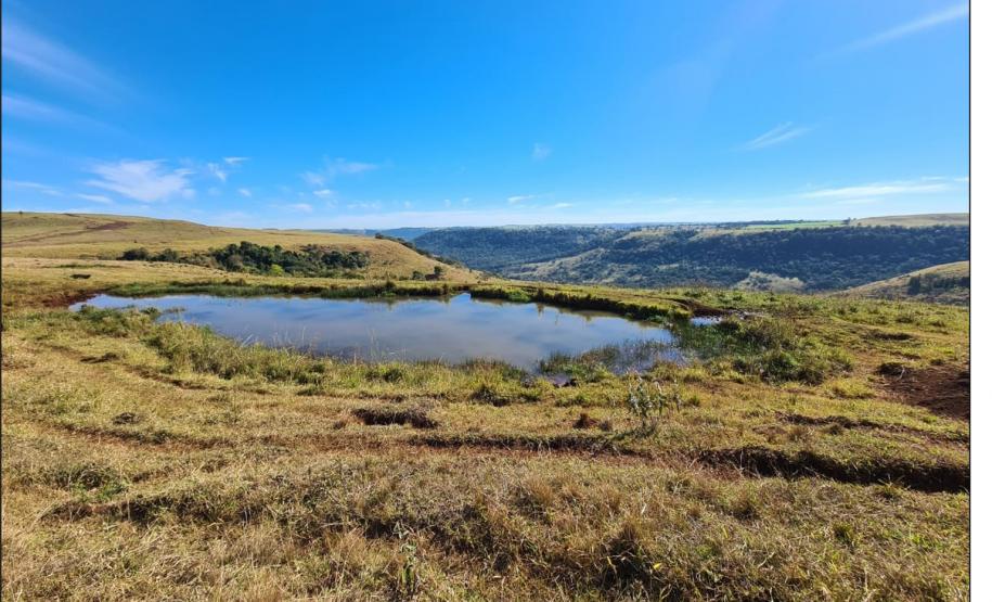 Nascente represada em Neossolo Regolítico