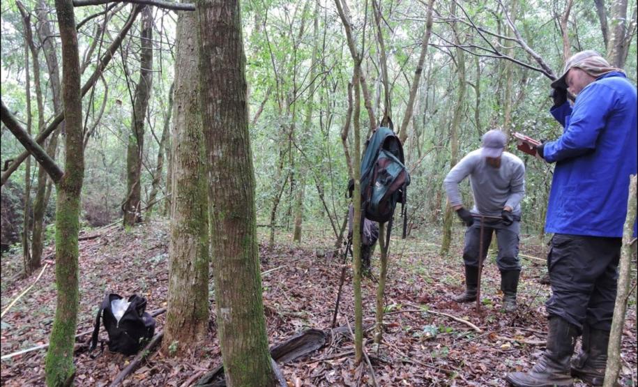 Amostragem de solos em florestas fluviais.