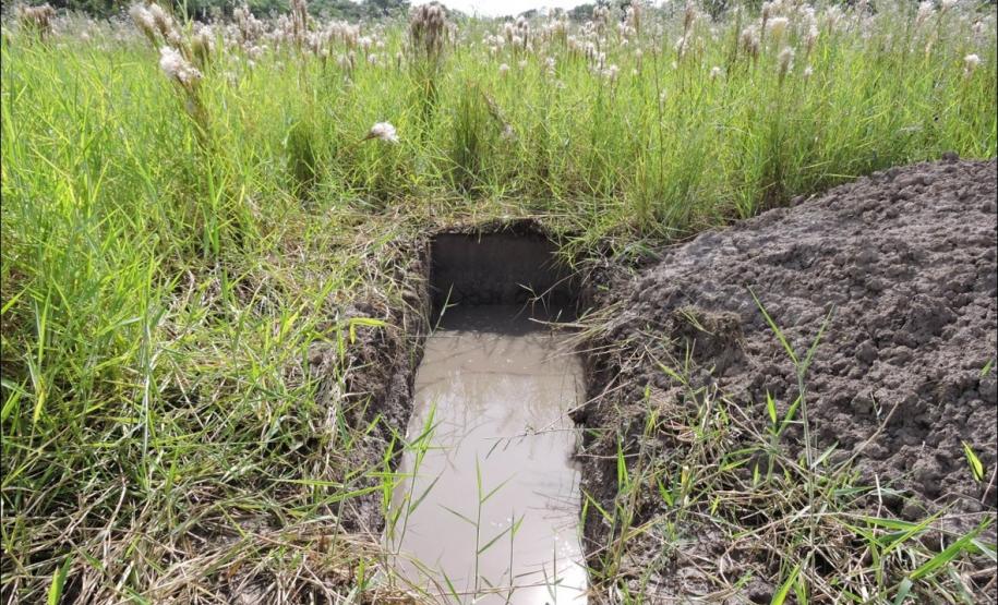 Lençol freático em planície