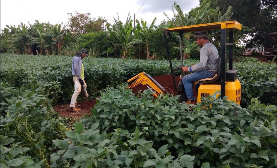Abertura de perfil em lavoura.
