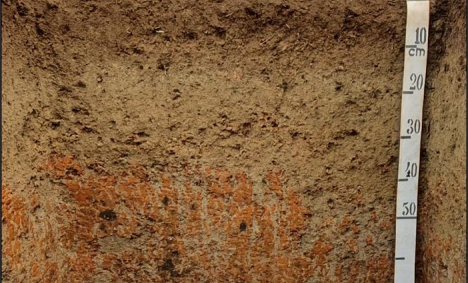 Plintossolo Pétrico