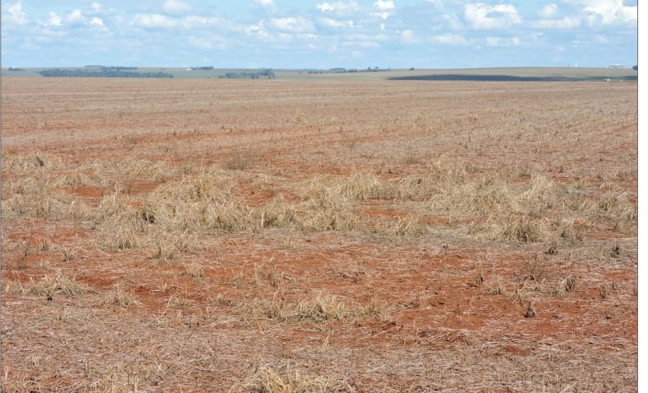 Aspecto de relevo plano