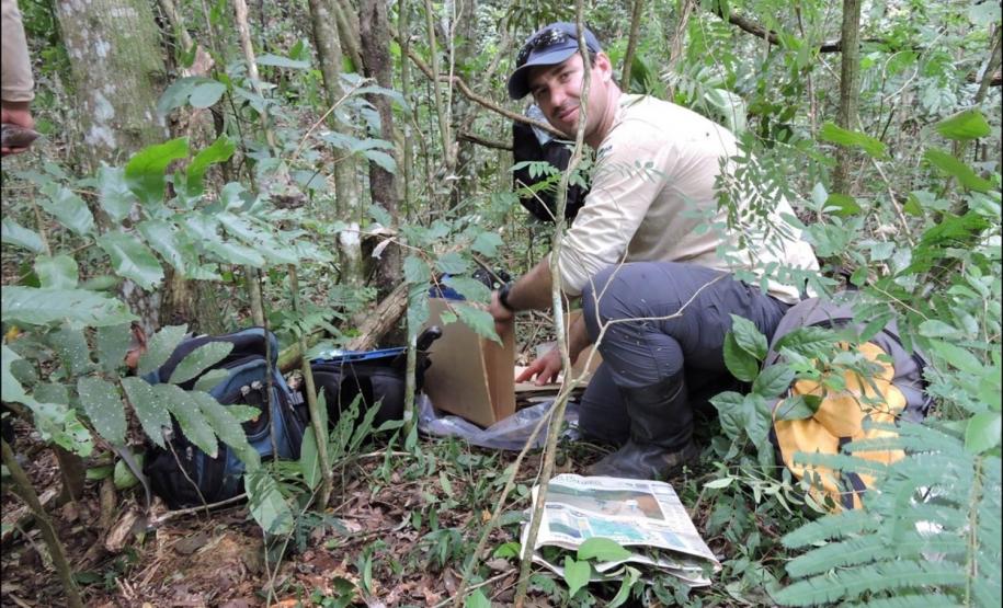Coleta de material botânico.
