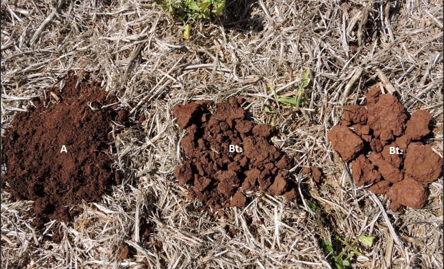 Estruturas granular e em blocos.