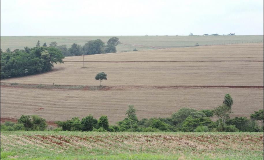 Sistema de produção agrícola em Latossolo Vermelho situado em encosta convexa-divergente.