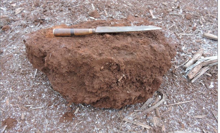 Torrão de compactação em horizonte A.