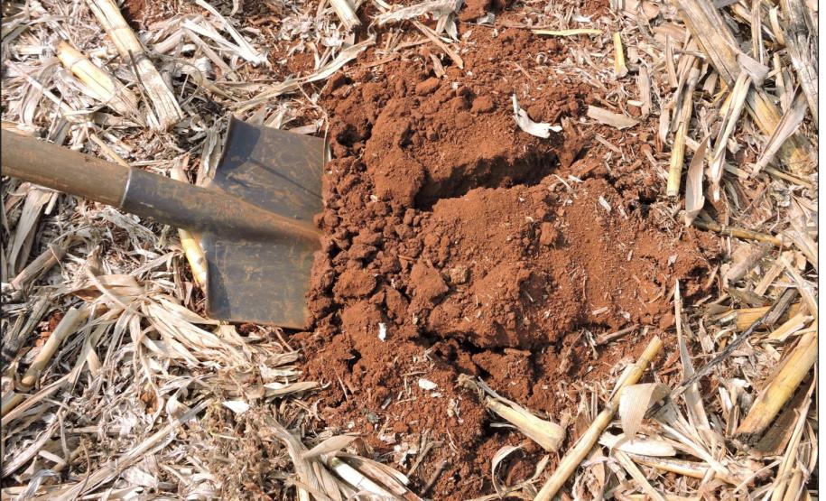 Compactação no horizonte A.