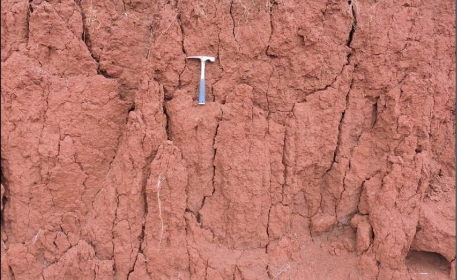 Latossolo Vermelho Distroférrico típico.