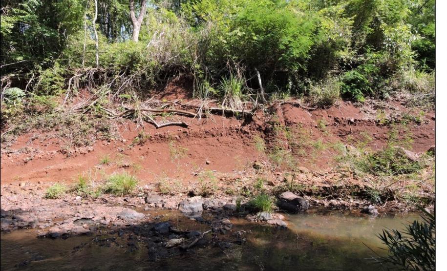 Linha de pedra formada por transborde fluvial em Cambissolo Flúvico.