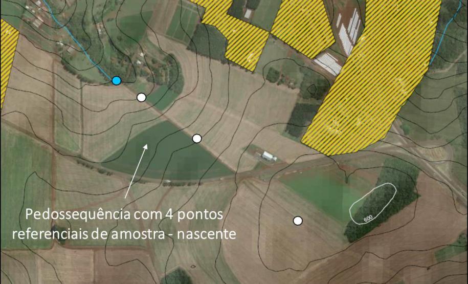 Pedossequência com 4 pontos referenciais de amostragem com término em nascente.